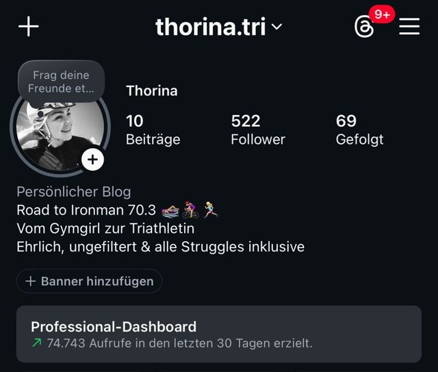 Instagram-Profil thorina.tri vorher: 10 Beiträge, 522 Follower, 74.743 Aufrufe in den letzten 30 Tagen